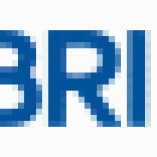 local-bank-BRI-monkeydrunk