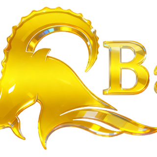 logo_image_1770379557-1
